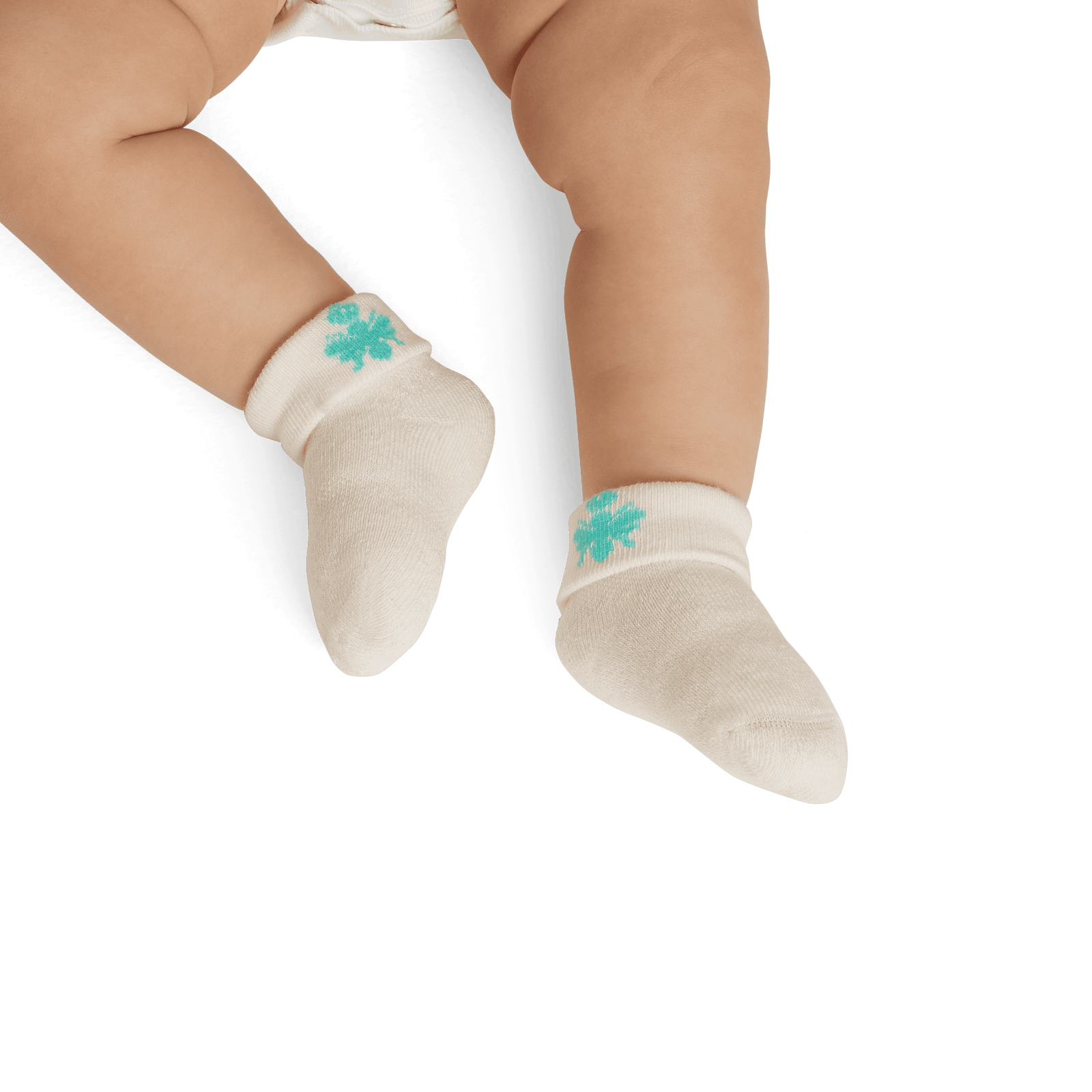 Baby Socks (0-6 Months) ivory-baby-0-2-transparent